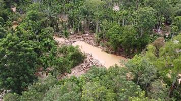 Aerial rotating view tree bark is remove during flash flood video