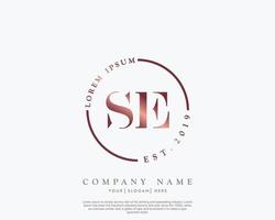 Initial letter SE Feminine logo beauty monogram and elegant logo design, handwriting logo of initial signature, wedding, fashion, floral and botanical with creative template vector