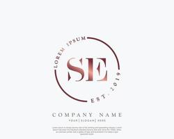 inicial letra se femenino logo belleza monograma y elegante logo diseño, escritura logo de inicial firma, boda, moda, floral y botánico con creativo modelo vector