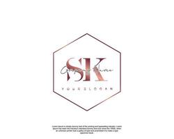 Initial letter SK Feminine logo beauty monogram and elegant logo design, handwriting logo of initial signature, wedding, fashion, floral and botanical with creative template vector