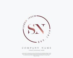 Initial letter SN Feminine logo beauty monogram and elegant logo design, handwriting logo of initial signature, wedding, fashion, floral and botanical with creative template vector