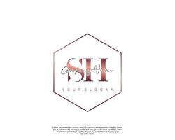 inicial letra sh femenino logo belleza monograma y elegante logo diseño, escritura logo de inicial firma, boda, moda, floral y botánico con creativo modelo vector