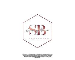 inicial letra sb femenino logo belleza monograma y elegante logo diseño, escritura logo de inicial firma, boda, moda, floral y botánico con creativo modelo vector