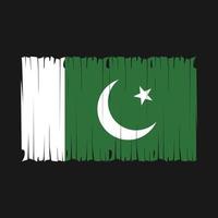 ilustración de vector de pincel de bandera de pakistán
