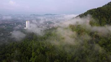 Aerial view sunny morning low cloud over rainforest video