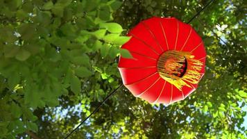 Red Chinese lantern hanging in green leaves video