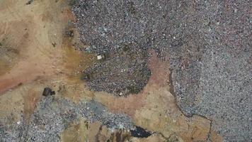 Aerial top down view white birds at landfill site. video