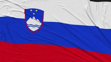 Slovenia Flag Cloth Removing From Screen, Intro, 3D Rendering, Chroma Key, Luma Matte video