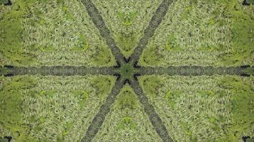 kalejdoskop grön träd flytta. illusion mönster. video