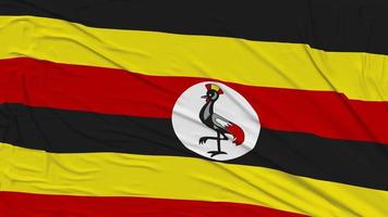 Uganda bandera paño quitando desde pantalla, introducción, 3d representación, croma llave, luma mate video