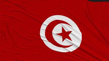 Tunisia Flag Cloth Removing From Screen, Intro, 3D Rendering, Chroma Key, Luma Matte video