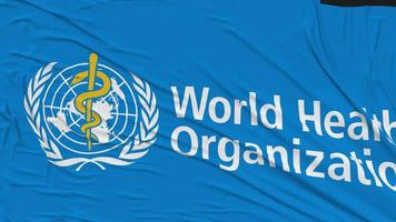 World Health Organization, WHO Flag Cloth Removing From Screen, Intro, 3D Rendering, Chroma Key, Luma Matte video