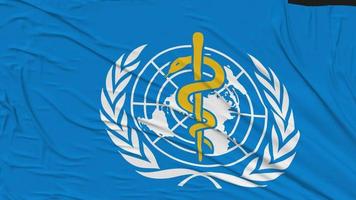 World Health Organization, WHO Flag Cloth Removing From Screen, Intro, 3D Rendering, Chroma Key, Luma Matte video