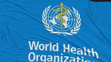 World Health Organization, WHO Flag Cloth Removing From Screen, Intro, 3D Rendering, Chroma Key, Luma Matte video