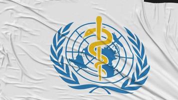 World Health Organization, WHO Flag Cloth Removing From Screen, Intro, 3D Rendering, Chroma Key, Luma Matte video