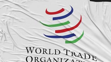 World Trade Organization, WTO Flag Cloth Removing From Screen, Intro, 3D Rendering, Chroma Key, Luma Matte video