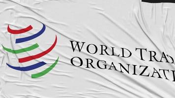 World Trade Organization, WTO Flag Cloth Removing From Screen, Intro, 3D Rendering, Chroma Key, Luma Matte video