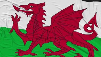 Wales Flag Cloth Removing From Screen, Intro, 3D Rendering, Chroma Key, Luma Matte video