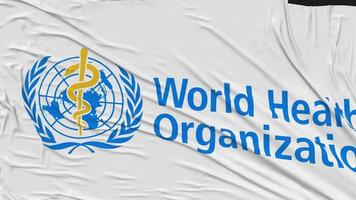 World Health Organization, WHO Flag Cloth Removing From Screen, Intro, 3D Rendering, Chroma Key, Luma Matte video