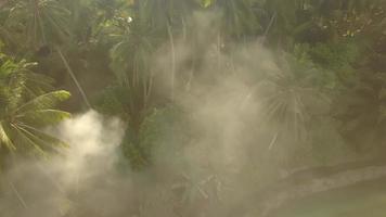 Aerial view smoke from coconut farm. video