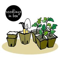 semillas son almacenado en un turba envase. plántulas en biodegradable ollas. brotado planta semillas son trasplantado a hogar camas con el ayuda de jardín herramientas. vector