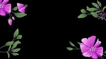 flower Floral frame Background transparent background with an alpha channel. video