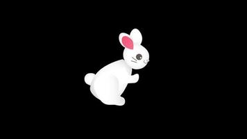 Loop animation of rabbit running and bunny jumping transparent background with an alpha channel. video