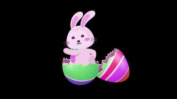 Schleife Animation von Ostern Hase und Ei Hase transparent Hintergrund mit ein Alpha Kanal. video