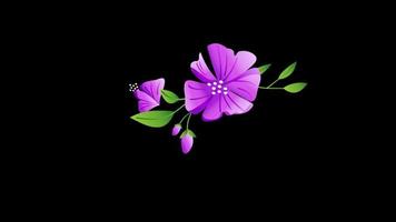 Loop animation of beautiful flower transparent background with an alpha channel. video