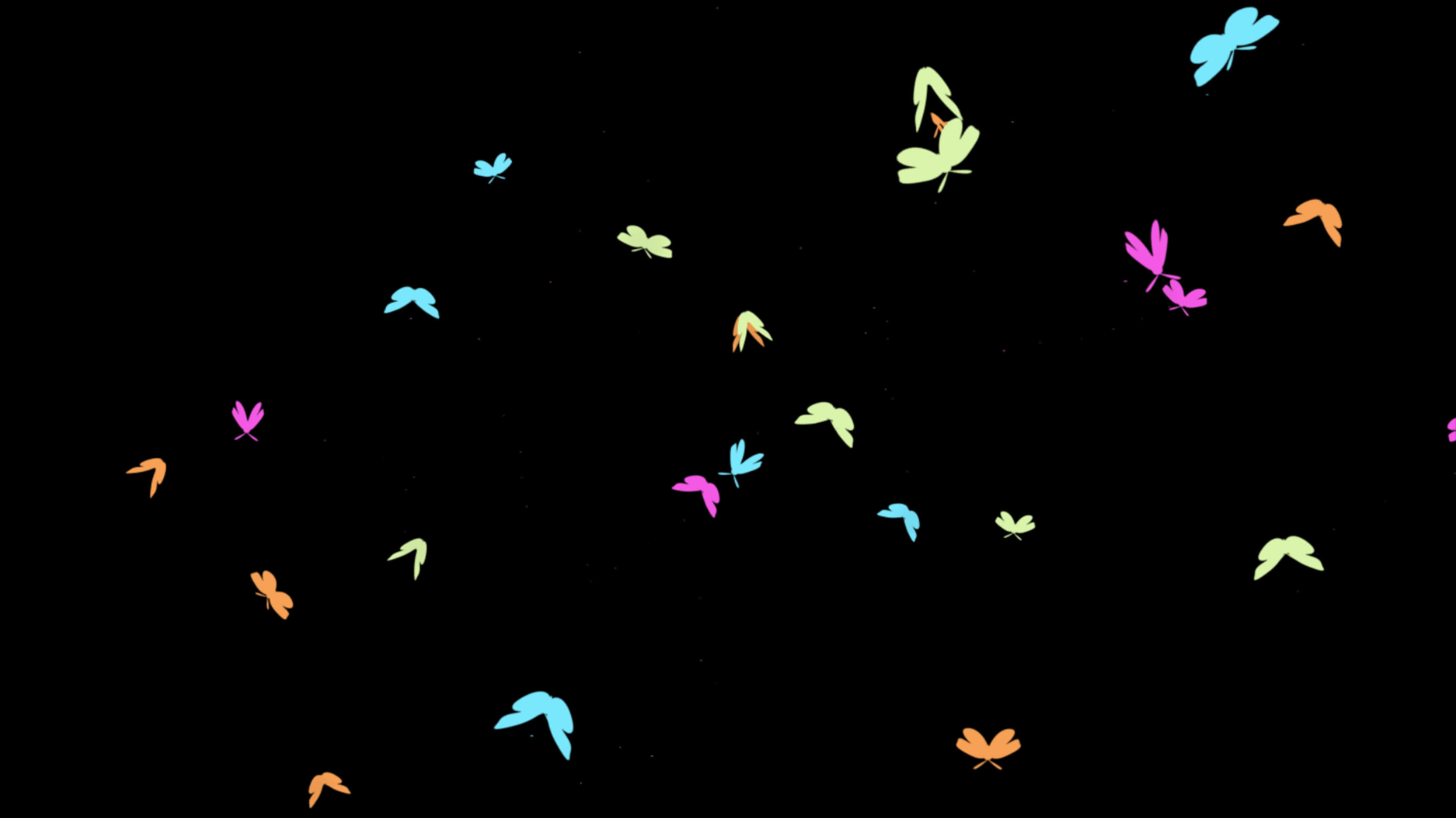 Butterfly Loop Stock Video Footage for Free Download