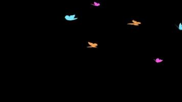 ciclo continuo animazione di farfalla volante trasparente sfondo con un alfa canale. video