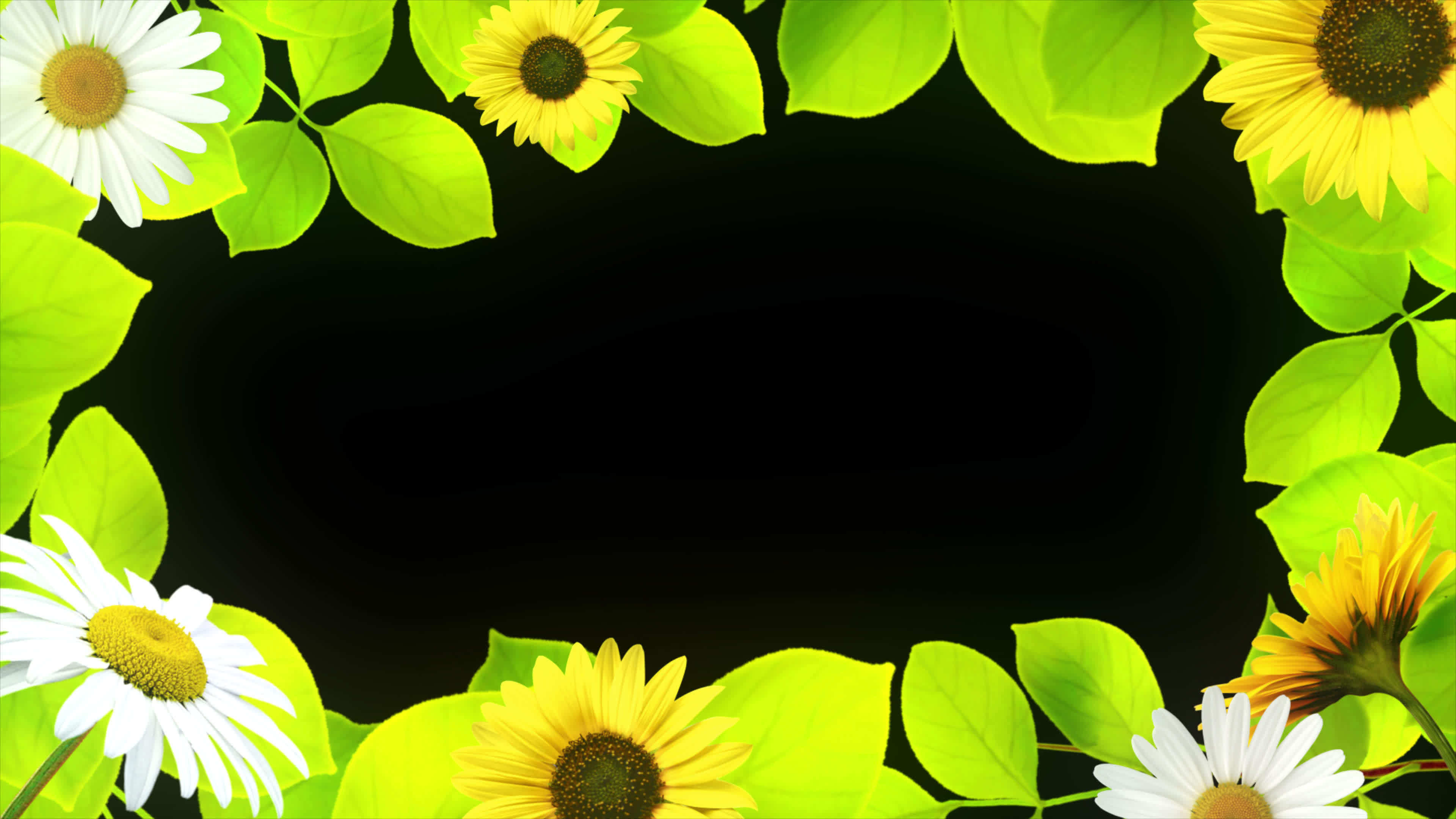 sunflower Floral frame Background transparent background with an alpha