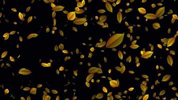Beautiful animation with dry leaves. Leaves falling animation in 4K ultra HD video
