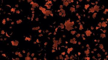 Beautiful animation with autumn leaves. Autumn leaves falling animation in 4K ultra HD video