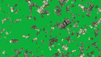dollar faller animering i 4k ultra hd, dollar i grön skärm video