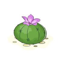 illustration of a green cactus vector