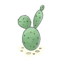 ilustración de un verde cactus vector