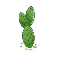 illustration of a green cactus vector