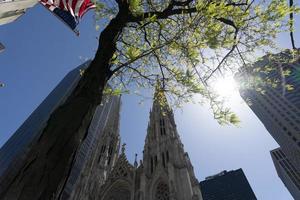 new york saint patrick cathedral photo