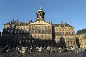 muchos palomas en Amsterdam ciudad salón represa sitio centrar edificio detalle foto