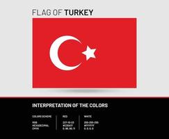 bandera de Turquía con Derecha colores esquema vector