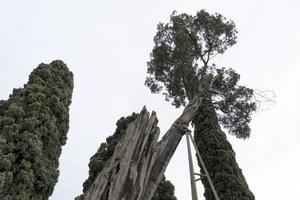 baño de diocleciano en roma foto