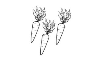 hand drawn carrot vector