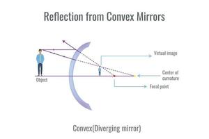 Reflection of light on convex mirror vector