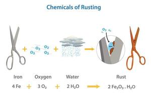 The chemical required for rust formation vector illustration