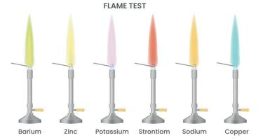 Flame test of different metal produces different color flame vector