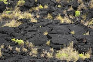 Pico island lava fields rocks photo