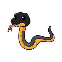 Cute northern ringneck snake cartoon vector