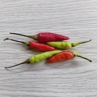 red and green chilies photo