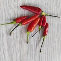 small red chili photo